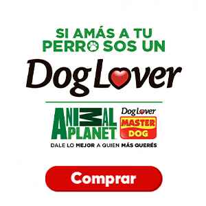 SI AMAS A TU PERRO, SOS UN DOG LOVER